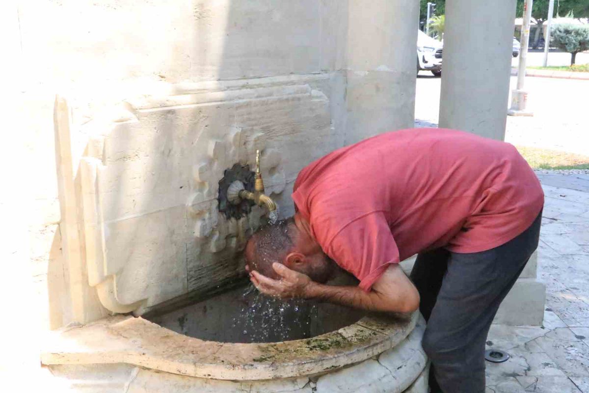Adana'da kavurucu sıcaklar: Vatandaşlar ve sokak hayvanları serinlemek için çare arıyor