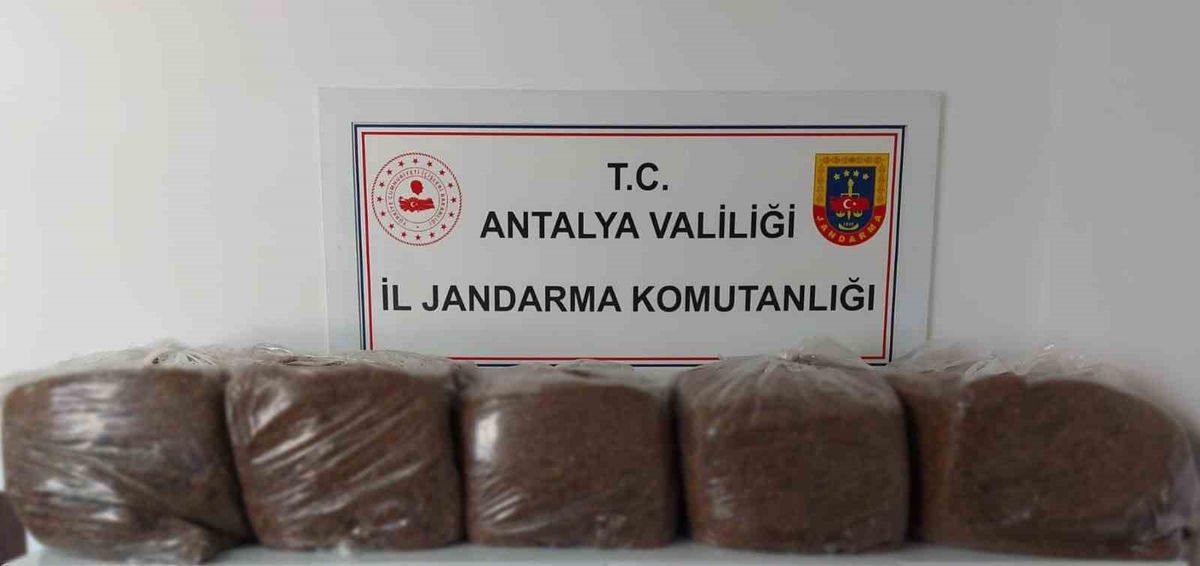 Alanya ve Demre'de Kaçak Tütün Operasyonu