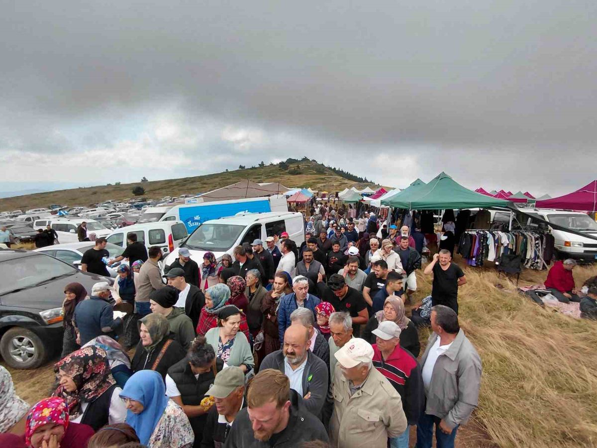 Bolu'da Hacet Bayramı: Şifa İçin Sarı Kantaron Toplandı