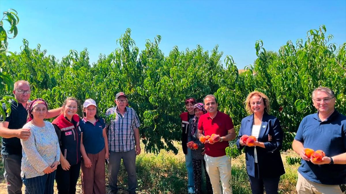 İpsala’da Yaban Mersini Tesisi ve Şeftali Hasadı İncelendi