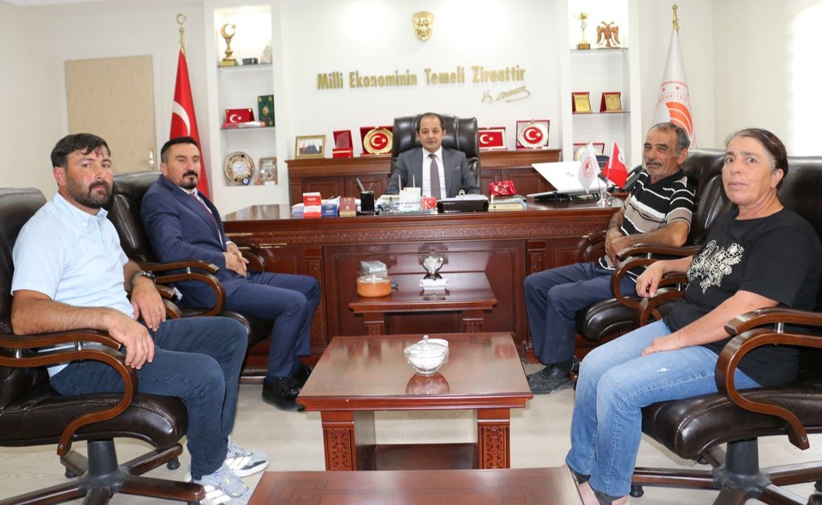 Erzincan'da Manda Yetiştiricileri Birliği Kuruluyor