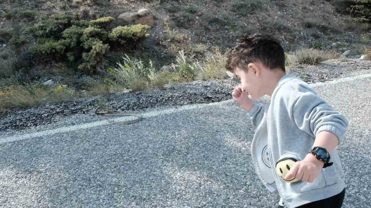 Erzincan'da Dev Yılan Şaşkınlığı: Minik Çocuğun İlk Karşılaşması Kamerada