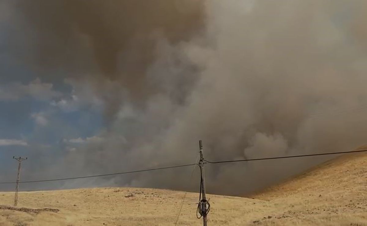 Elazığ'da örtü yangını: Rüzgar alevleri büyüttü