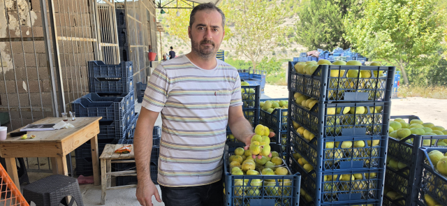 ocaginiza dikmeyin ama dalinda 92566467 9321 1 m