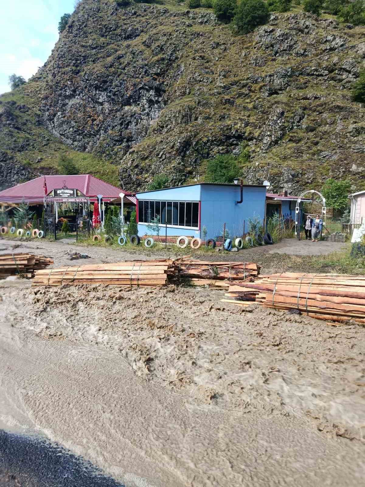 Şavşat'ta Sağanak Hayatı Olumsuz Etkiledi
