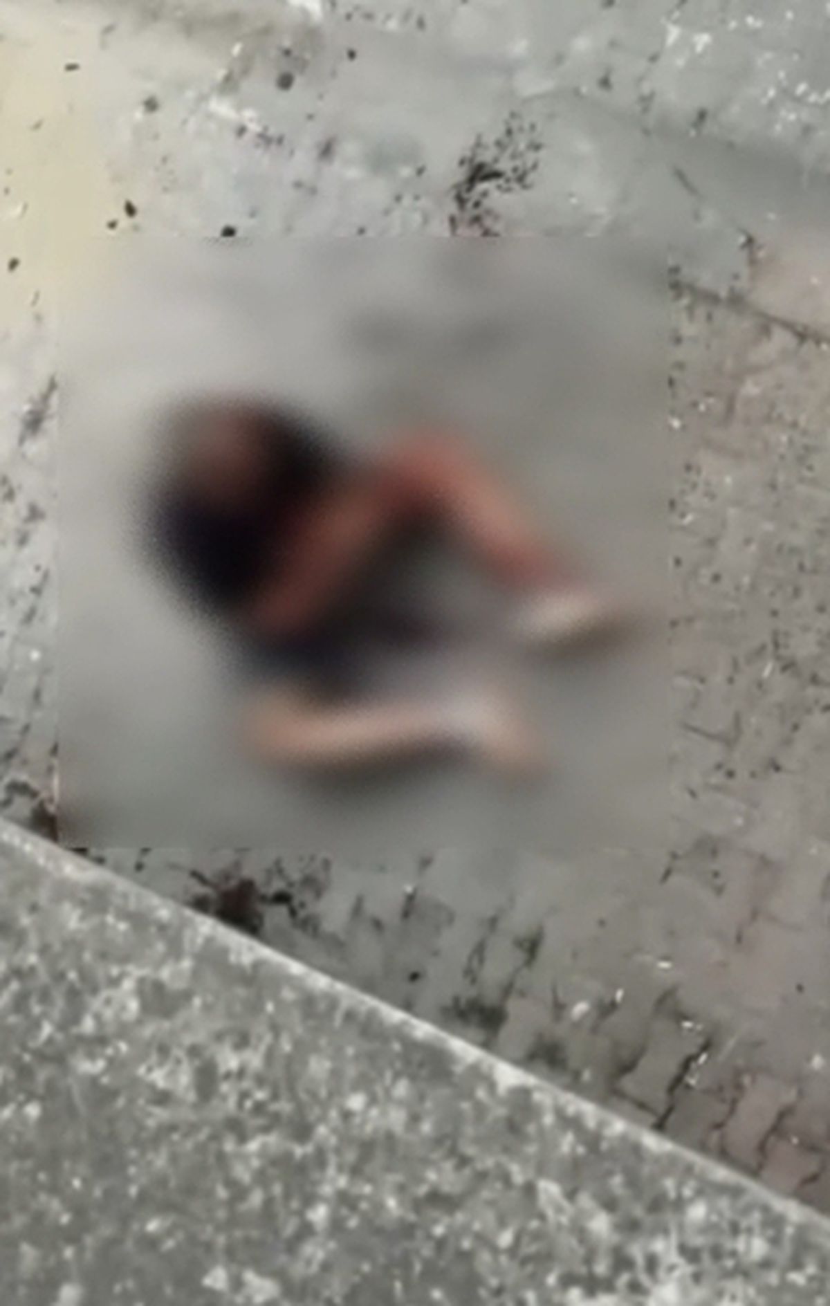 Zeytinburnu'nda sokak kavgası: Şişeyle başına vurulan kişi yaralandı