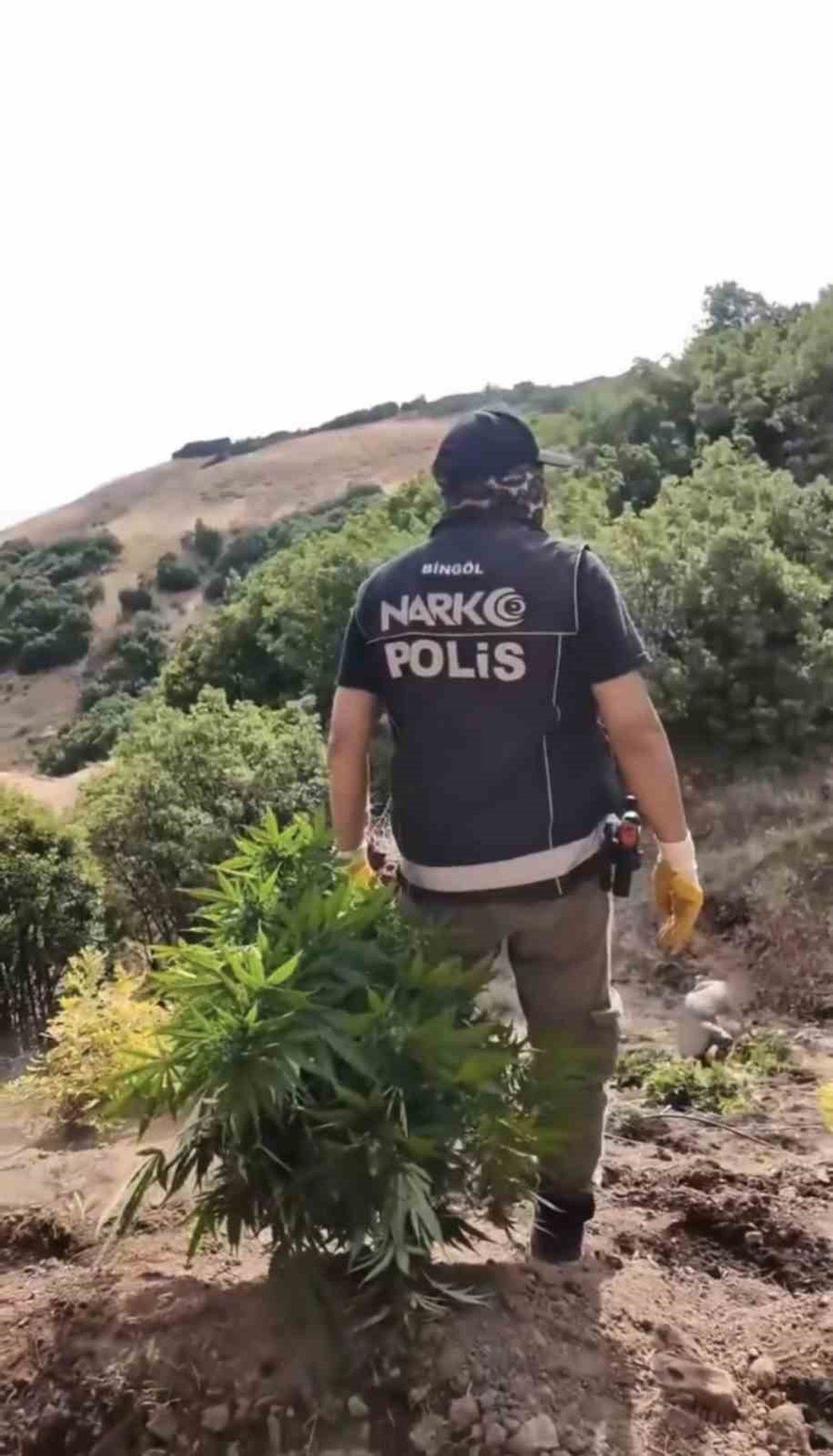 Bingöl'de Uyuşturucu Operasyonu: 3 Tutuklama