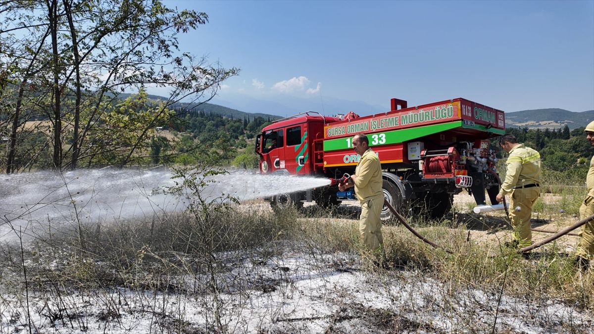 Bursa’da orman yangını kontrol altına alındı