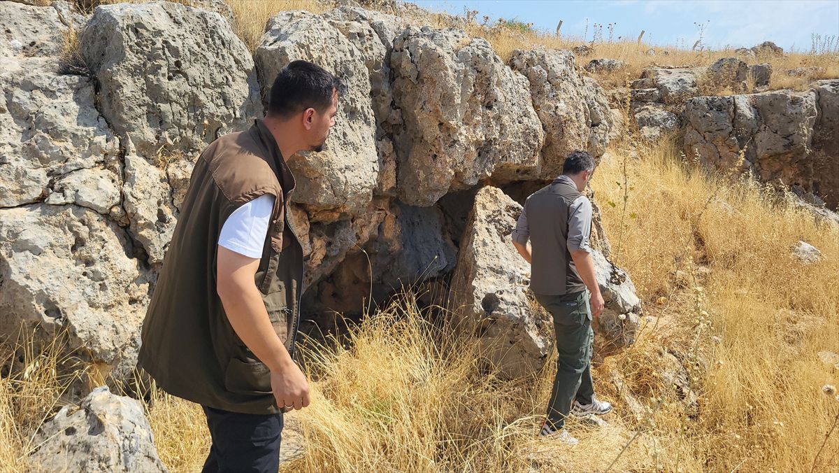Çizgili Sırtlanlara Yemleme Uyarısı