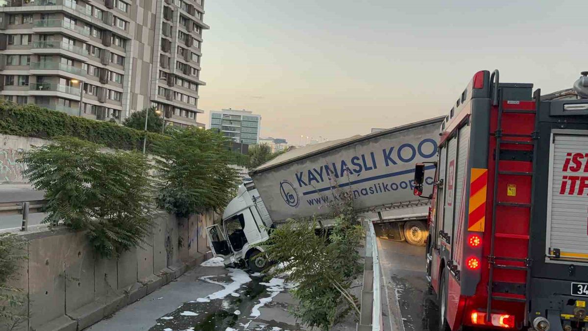 Tır Dereye Uçtu: Sürücü Yaralandı