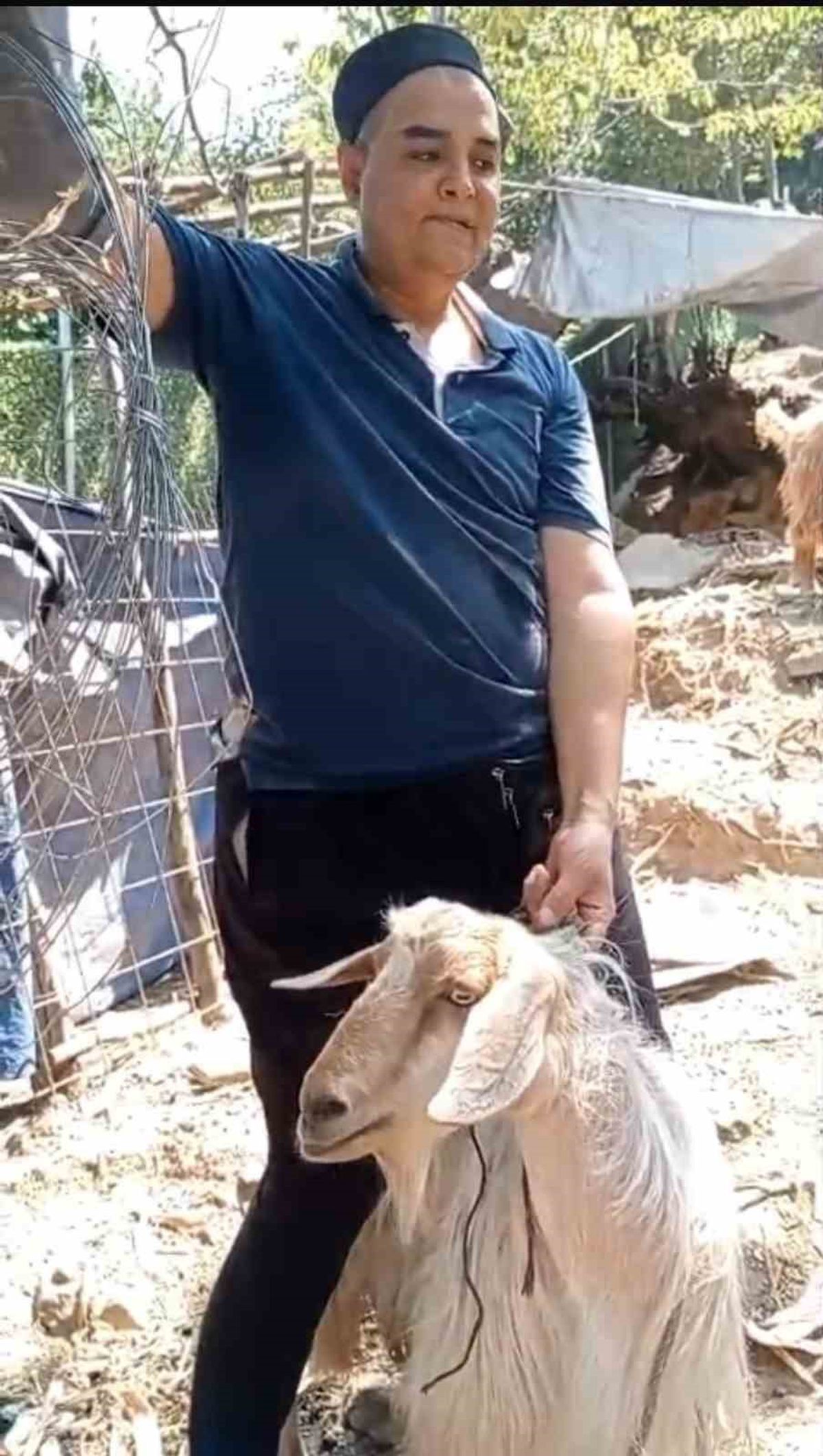 Yaramaz Keçi Sosyal Medya Sayesinde Sahibine Kavuştu