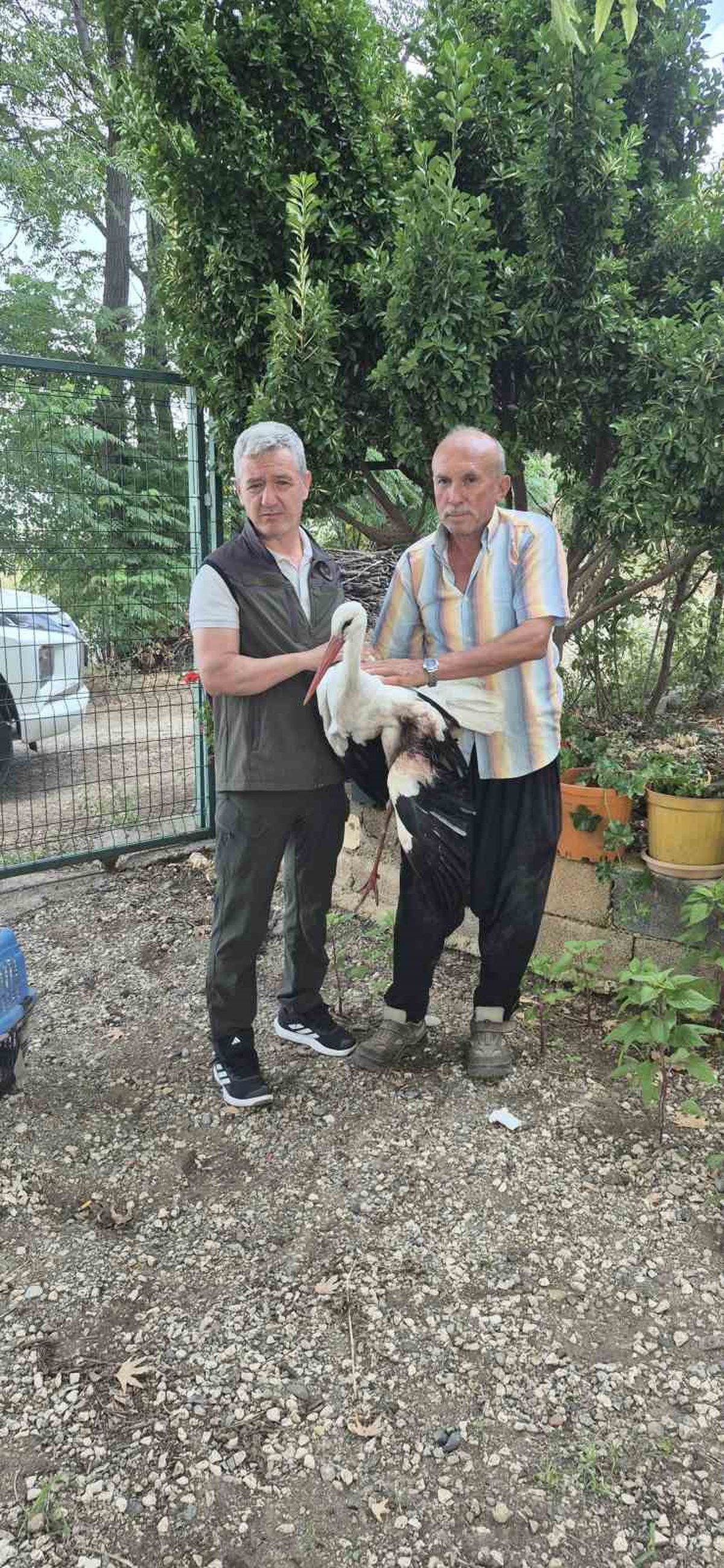 Düziçi'nde Yaralı Leyleğe Duyarlı Vatandaşın Şefkatli Eli