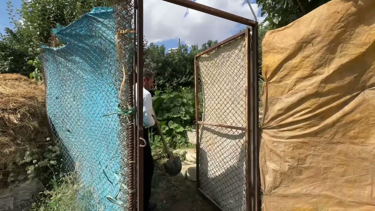 Yılın Çiftçisi Ali Altıntaş’tan Sera Desteği Çağrısı