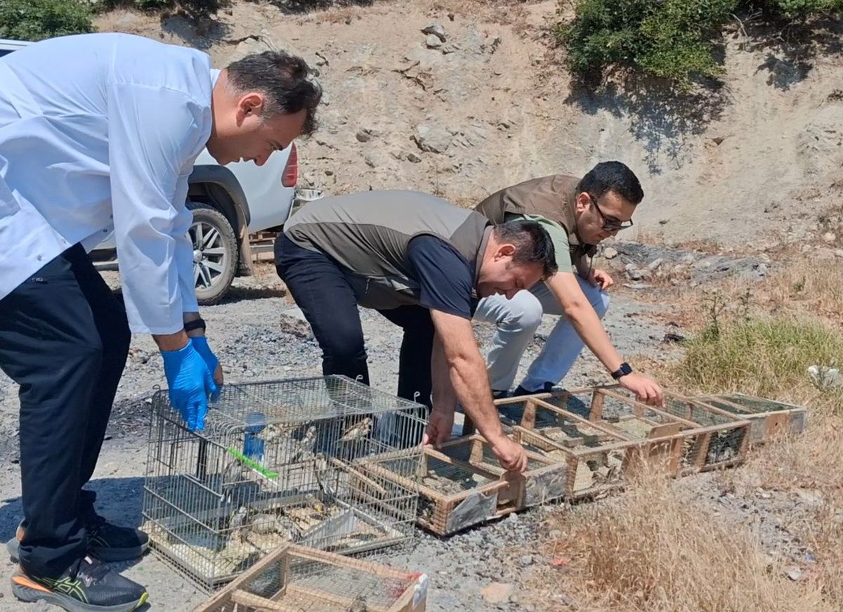Kaçak Saka Kuşu Avına Büyük Ceza