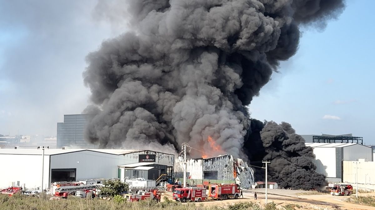 Kocaeli'de kimya fabrikasında yangın: 2 işçi yaralandı, 2 at telef oldu