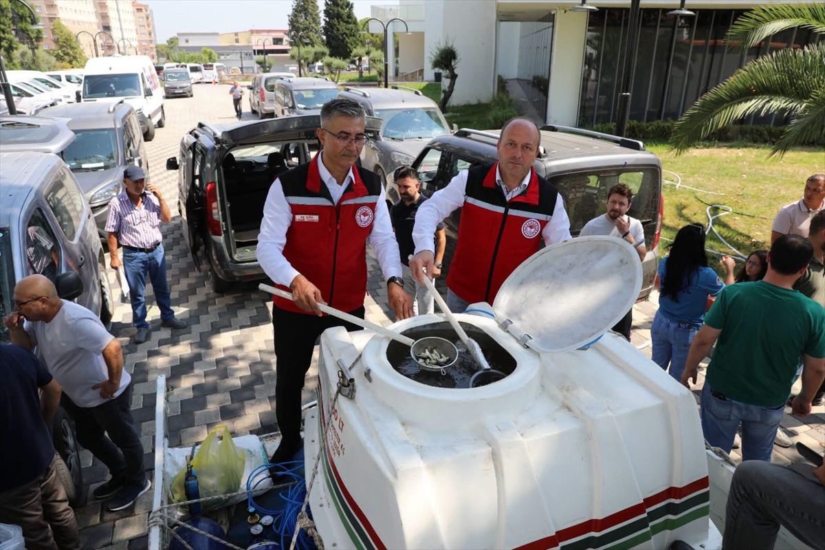Manisa’ya 1.2 Milyon Yavru Sazan Bırakıldı