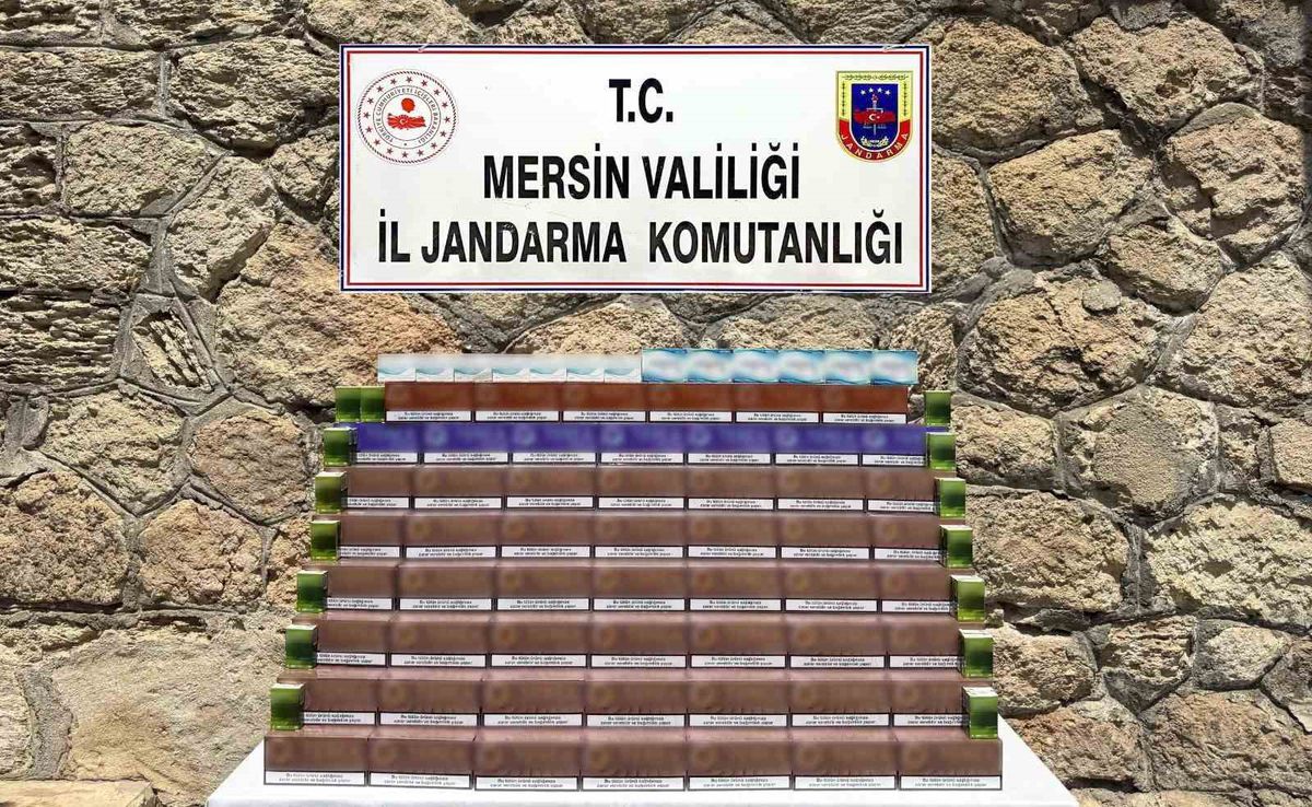 Mersin'de Elektronik Sigara Kaçakçılığı Operasyonu