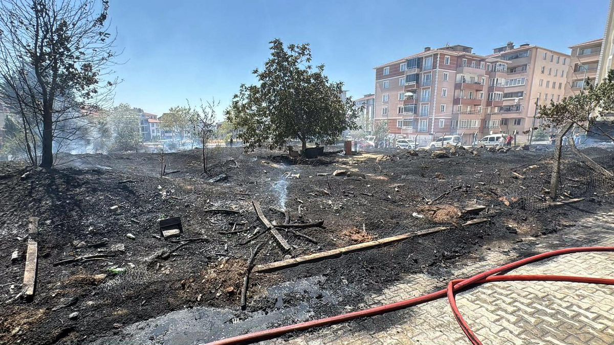 Ot Yangını Park Halindeki Araçlara Sıçradı