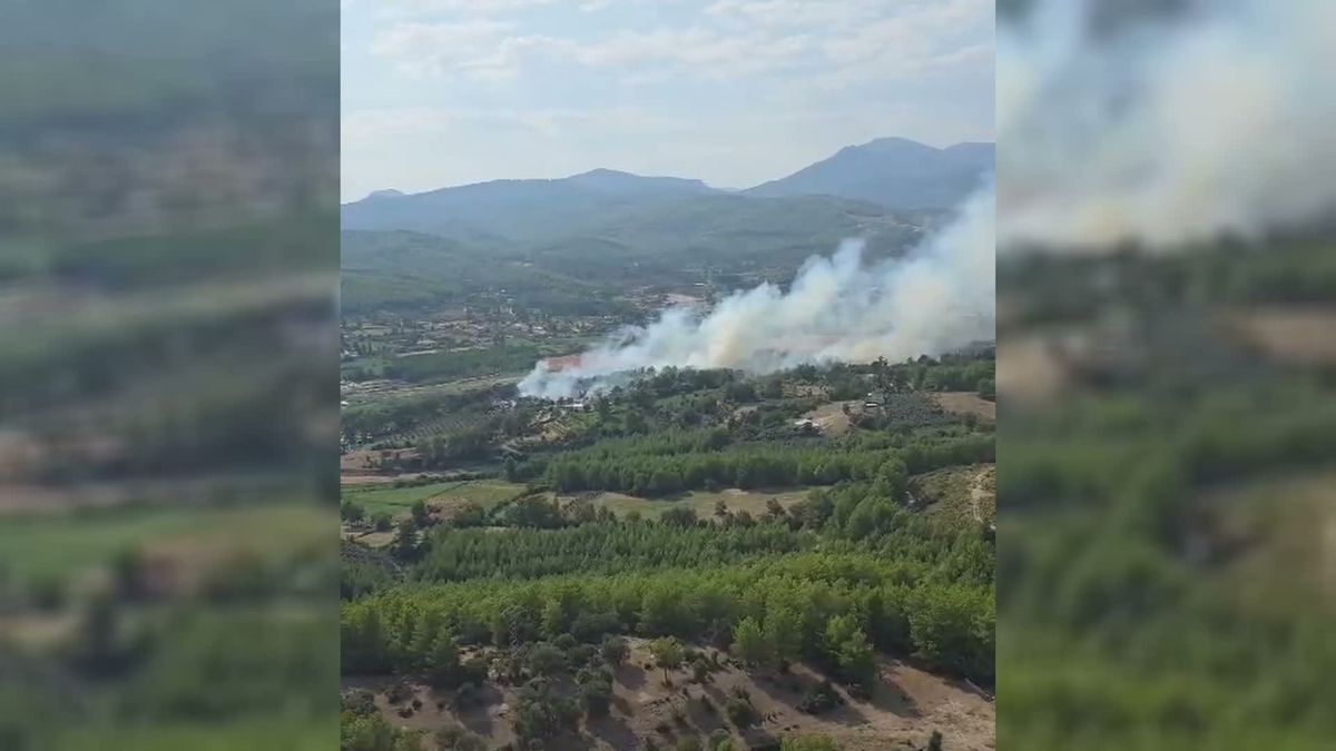 Muğla Seydikemer’de Orman Yangını