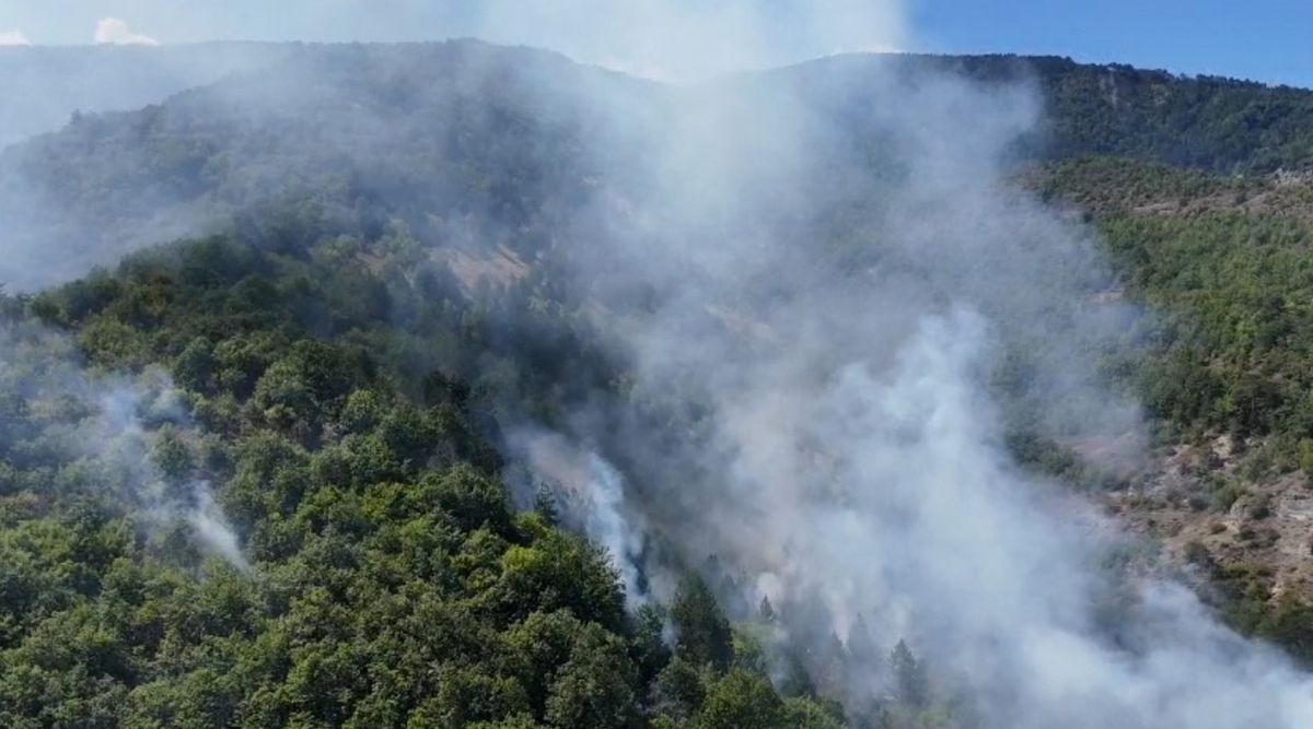 Sinop'ta Orman Yangını: 30 Hektar Zarar Gördü