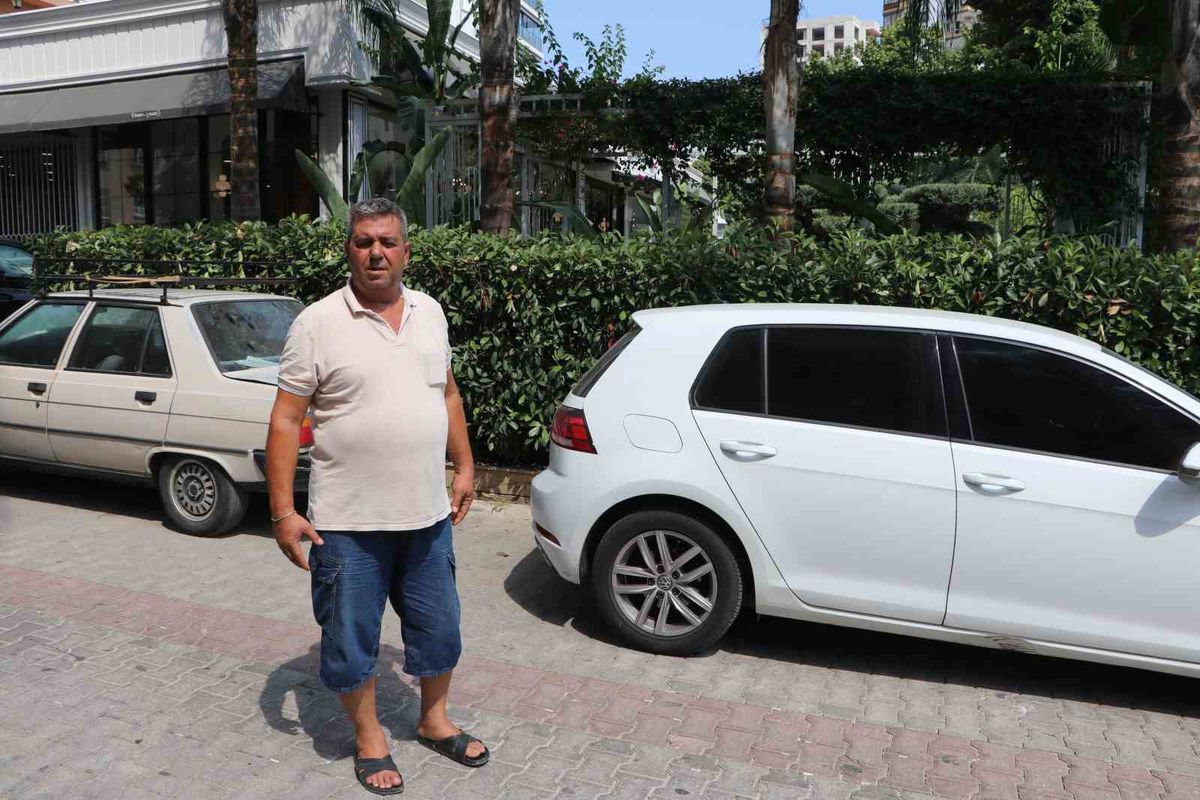Adana'da Ağızlıksız Pitbull Kediyi Parçaladı: Vatandaşlar Tepkili