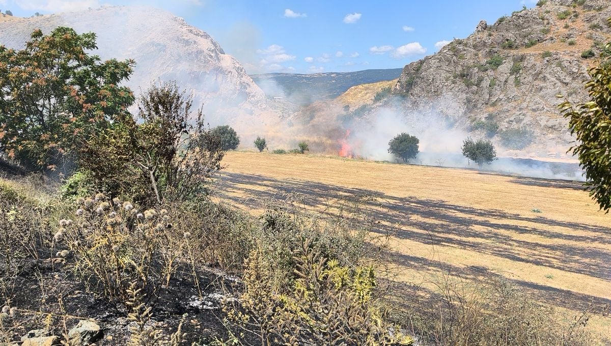 Tokat'ta Ot Yangını Büyümeden Söndürüldü