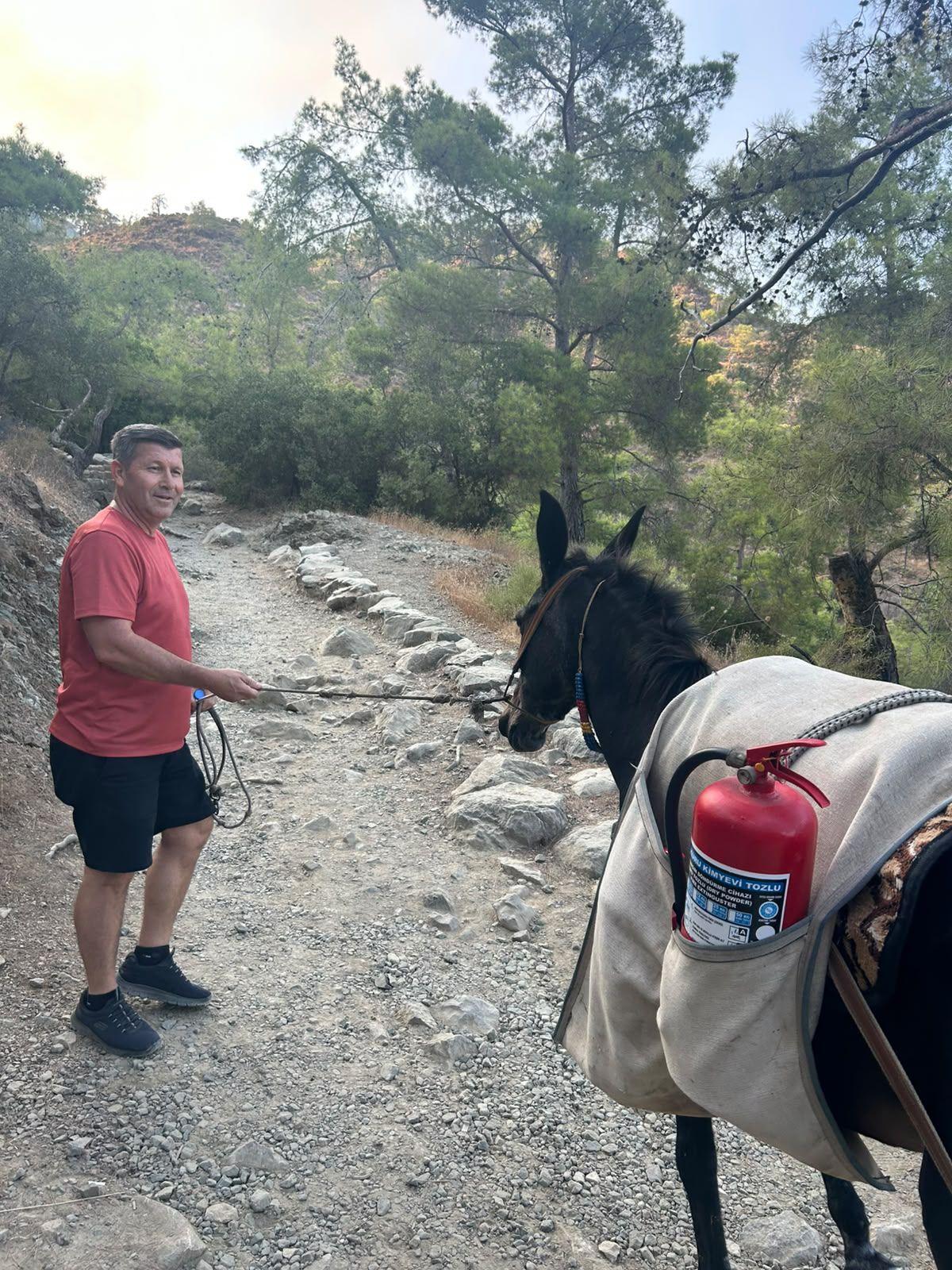 Antalya'da orman yangını