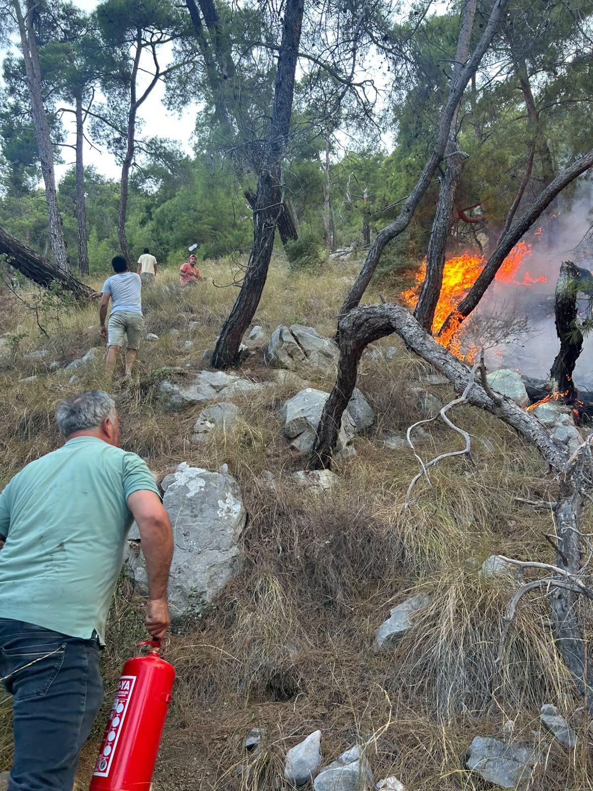 Antalya Kemer’de Orman Yangınına Müdahale Sürüyor