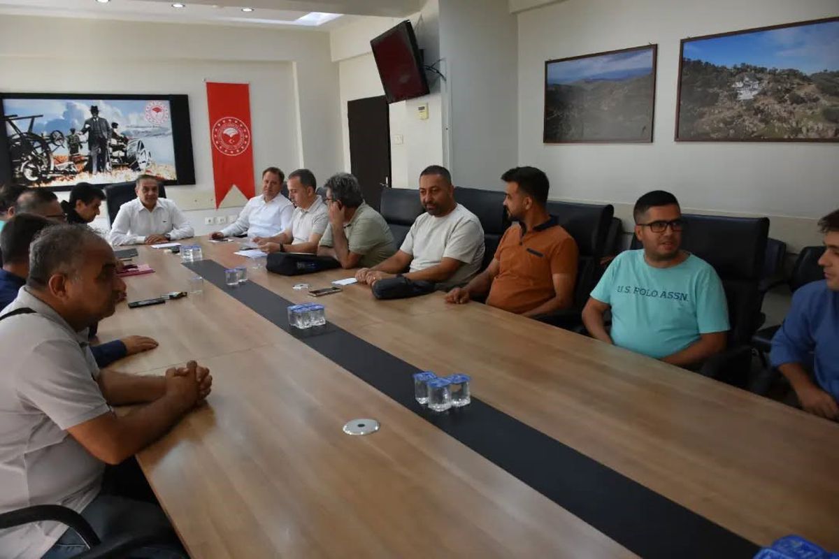 Aydın'da 18 Bin 470 Küçükbaş Hayvanda Islah Çalışması