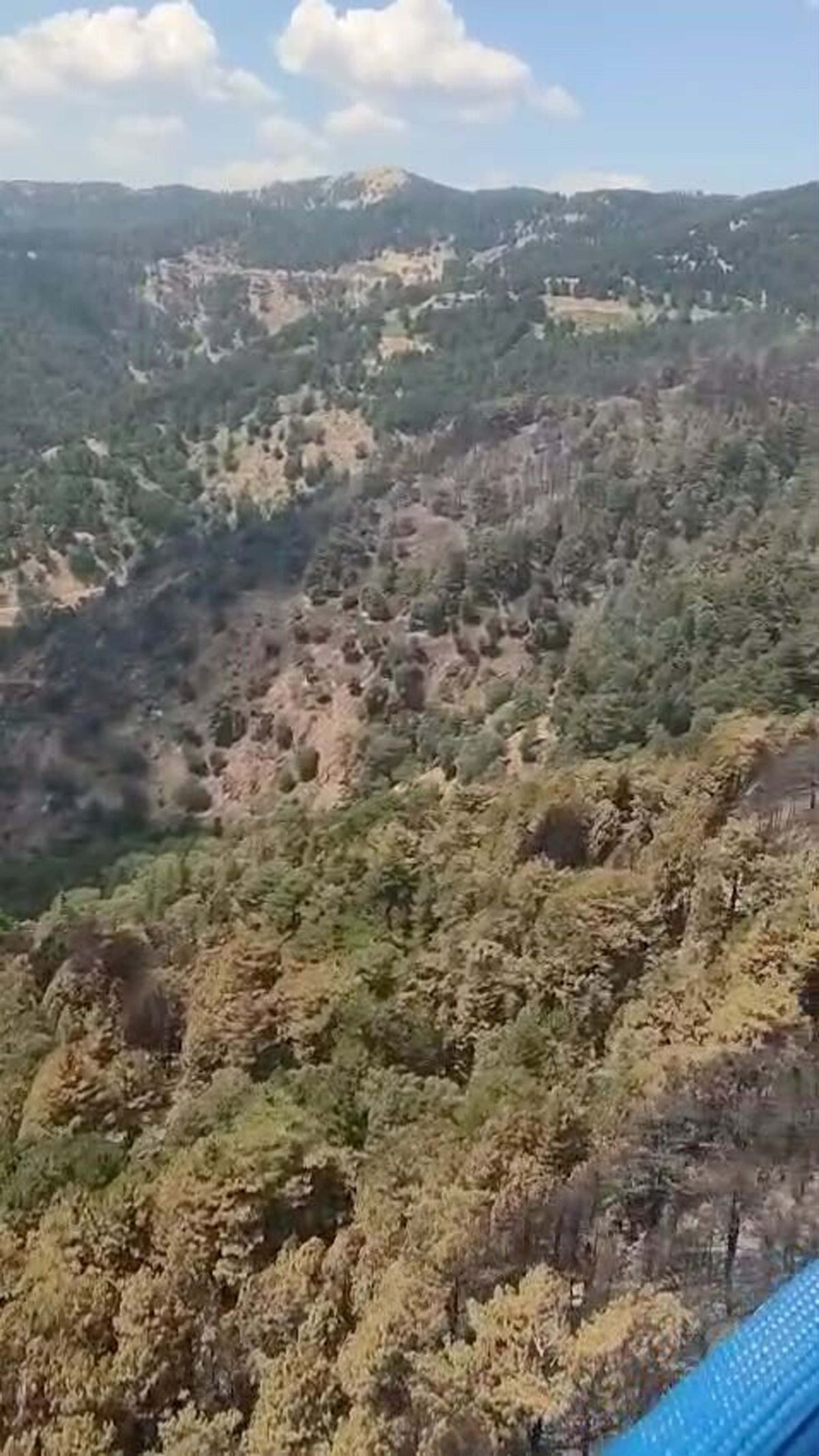 Kuyucak'ta orman yangını 25 saatte kontrol altına alındı