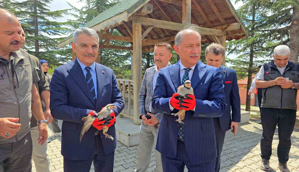 Bakan Yardımcısı Polat, Yozgat'ta TULİP Projesi Kapsamında Keklik Üretim İstasyonu'nu İnceledi