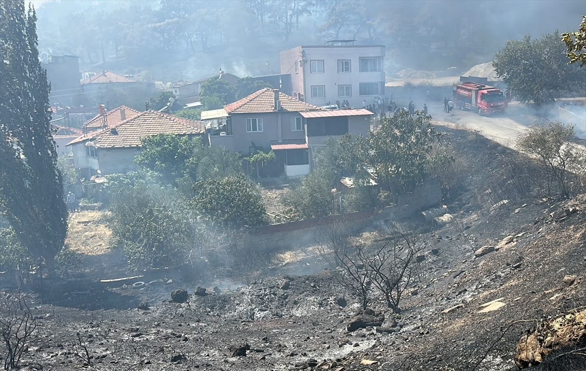 Edremit’te orman yangını: Ekipler havadan ve karadan müdahale ediyor