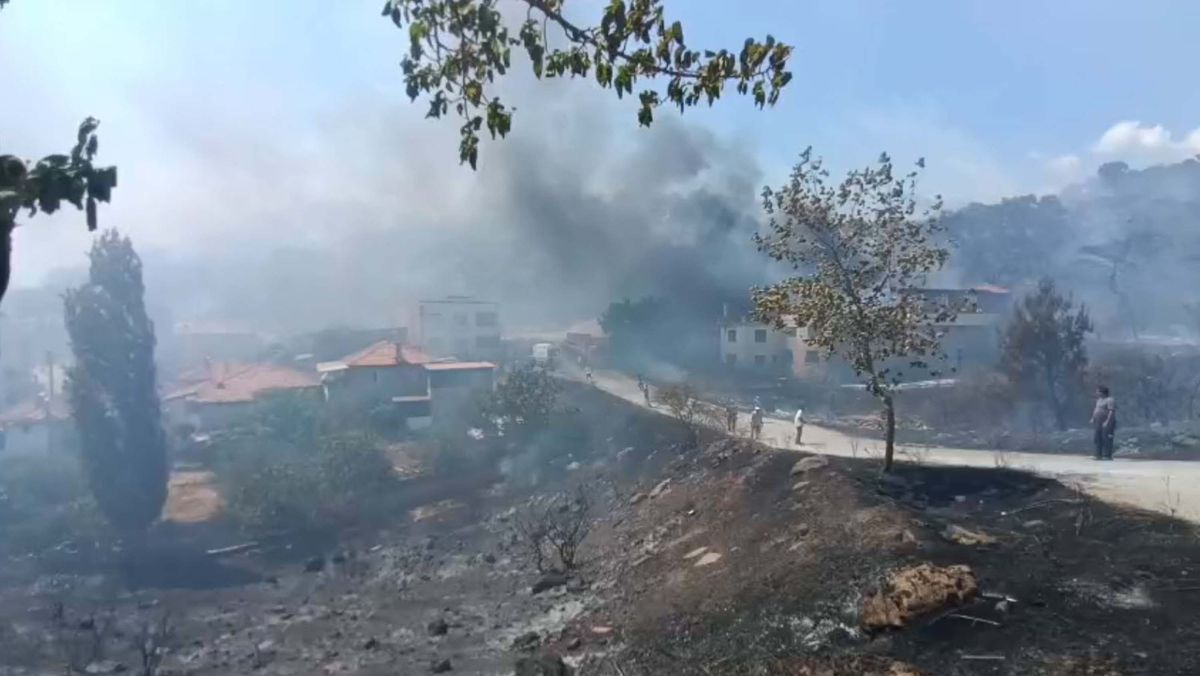 Havran'da Orman Yangınına Müdahale Sürüyor: 7-8 Vatandaş Tahliye Edildi