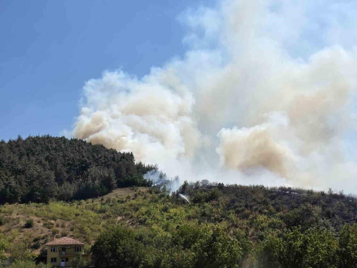 Dursunbey'de yol kenarındaki yangın ormana sıçradı