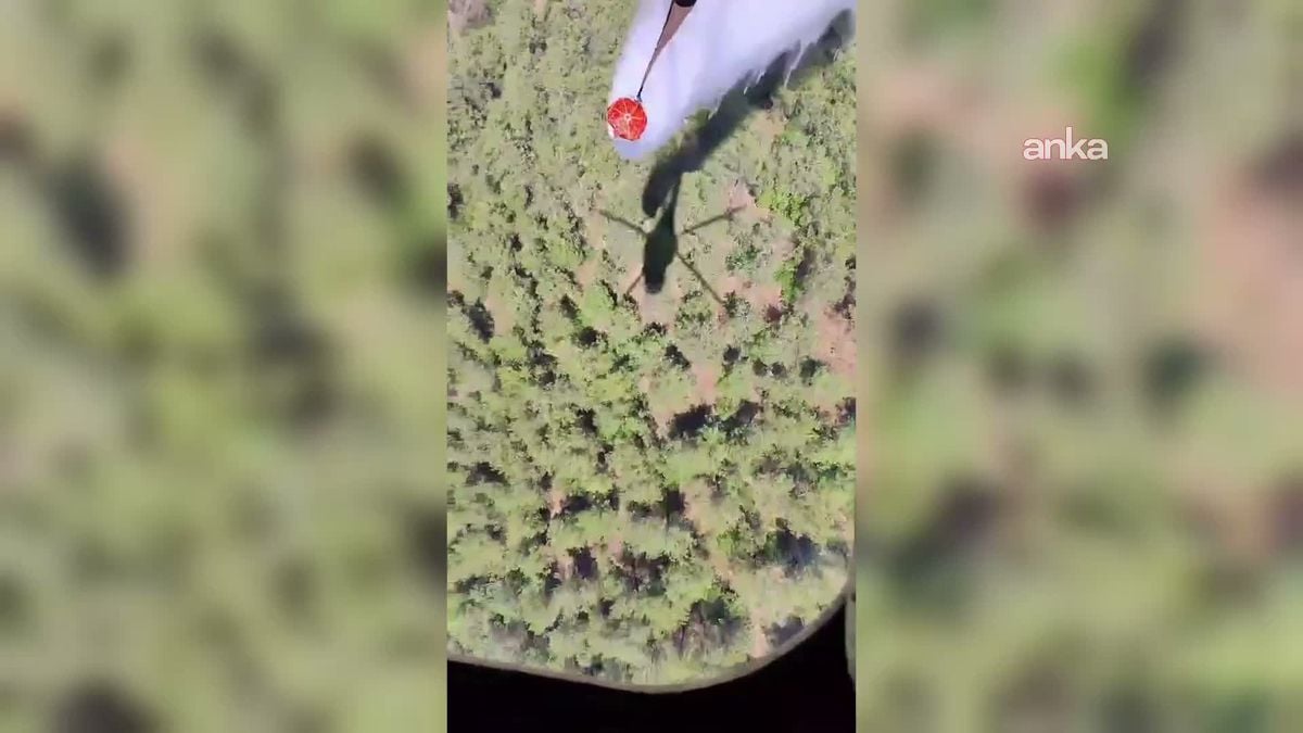 Balıkesir’de 6 Bin 733 Hektar Alan Yangında Zarar Gördü