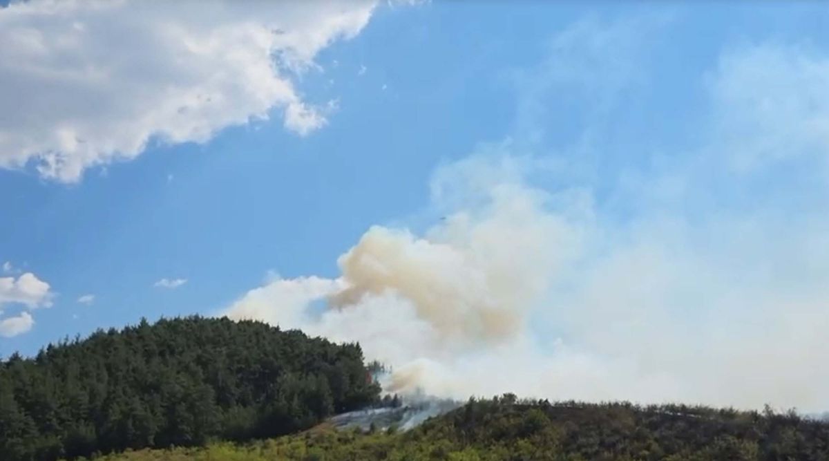 Dursunbey'de orman yangını: Havadan ve karadan müdahale