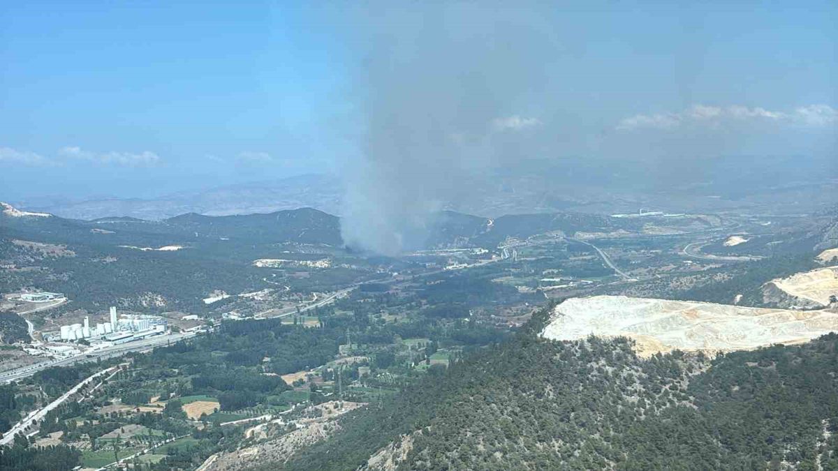 Bilecik'te Orman Yangını: Havadan ve Karadan Müdahale Sürüyor