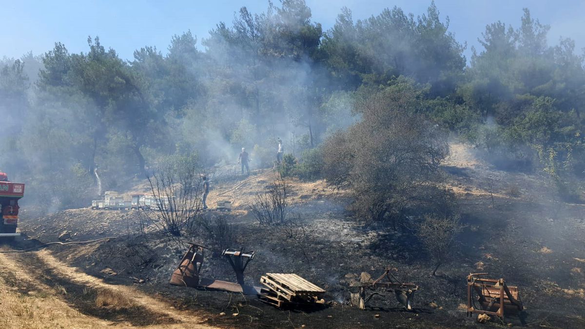 Göynük'te otluk alanda yangın: Bir ev ve ormanlık alan tehlike atlattı
