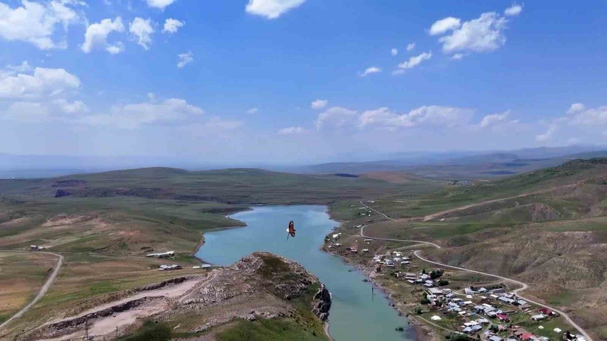 Kartal ve Yılanın Gökyüzü Dansı