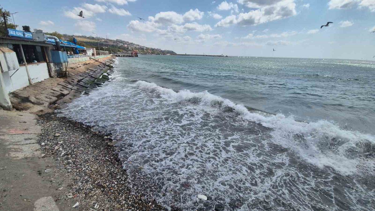 Poyraz Tekirdağ'da Deniz Ulaşımını Vurdu: 8 Gemi Demirledi