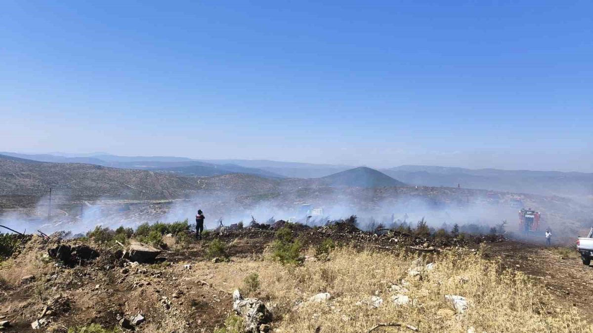 Kozağaç'ta makilik alanda yangın kontrol altına alındı