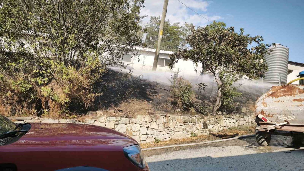 Mudurnu'da kümes yangını faciaya dönüşmeden söndürüldü