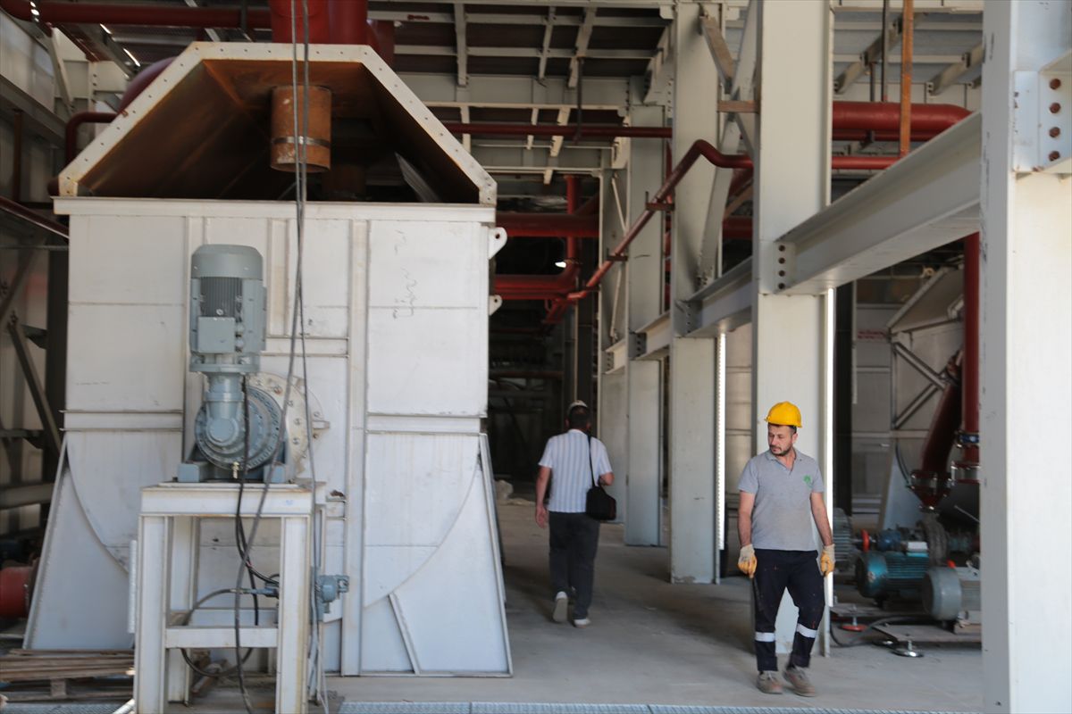 Muş Ovası'nda 42 bin ton şeker üretimi hedefleniyor