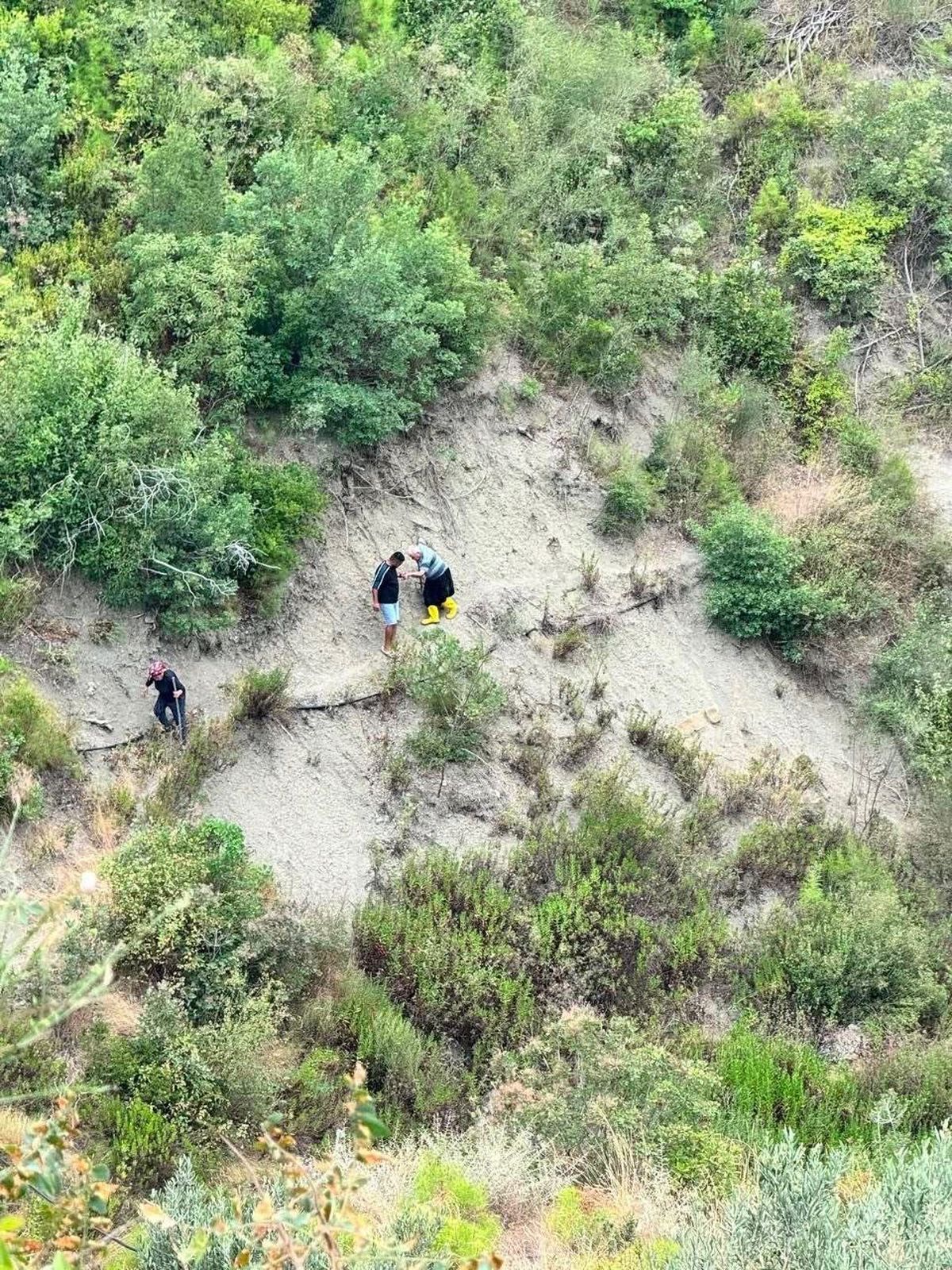 Hatay'da Alzheimer Hastası Vatandaş Ormanlıkta Mahsur Kaldı, Kurtarıldı
