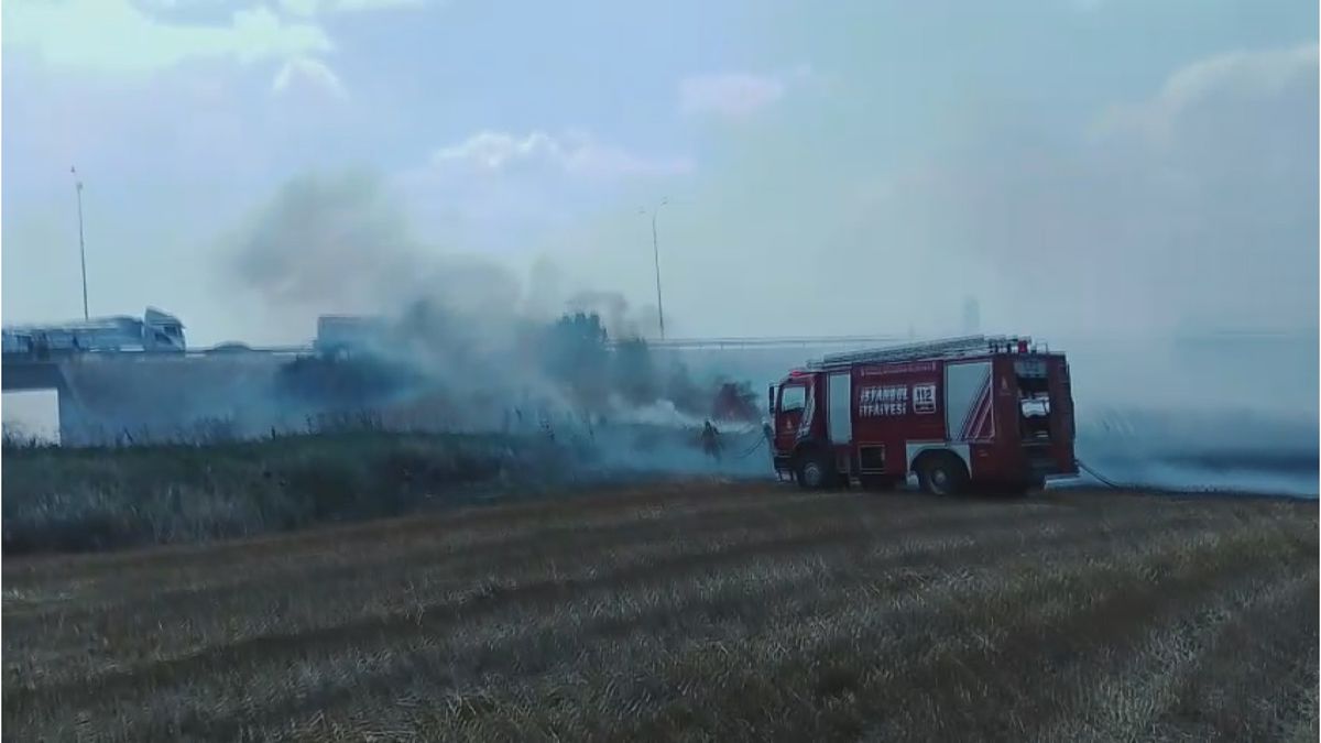 Silivri'de tarlada yangın