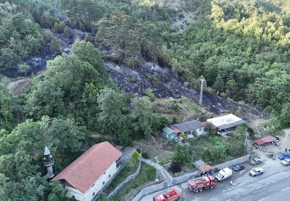 Sinop'ta orman yangınına neden olan şüpheli tutuklandı