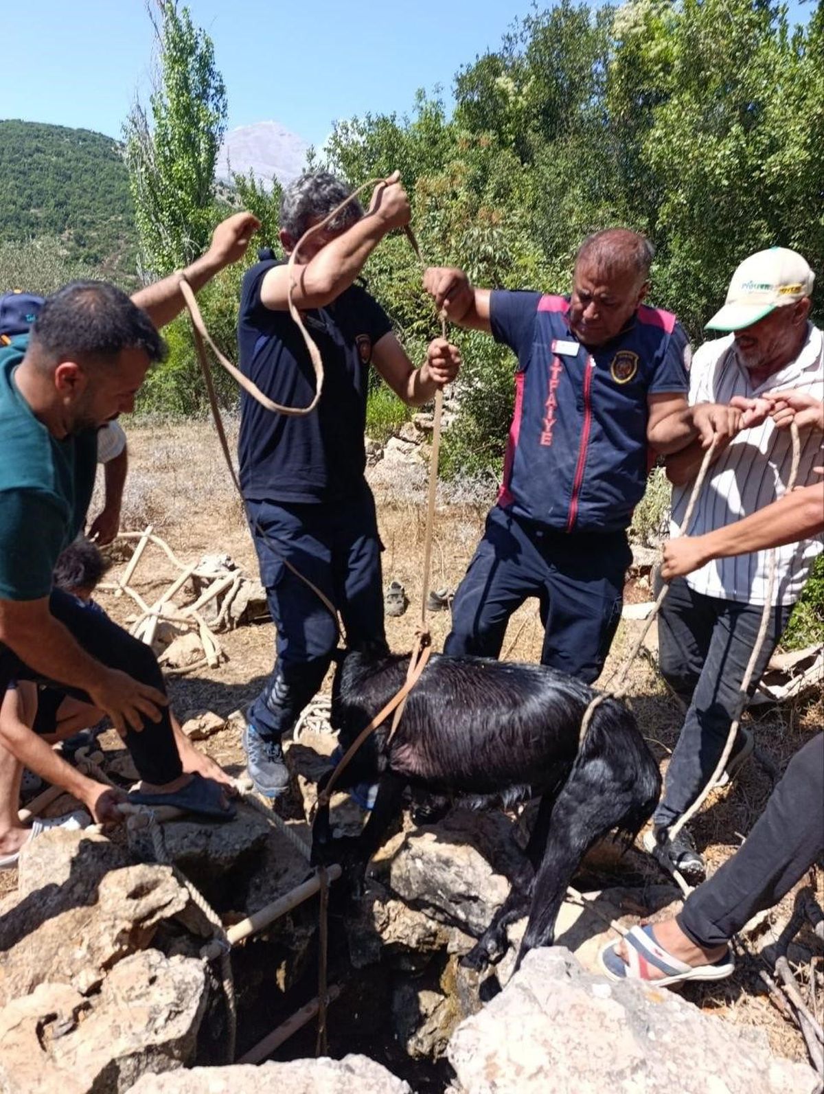 Hatay'da Su Kuyusuna Düşen Keçi İtfaiye ve Vatandaşın Çalışmasıyla Kurtarıldı
