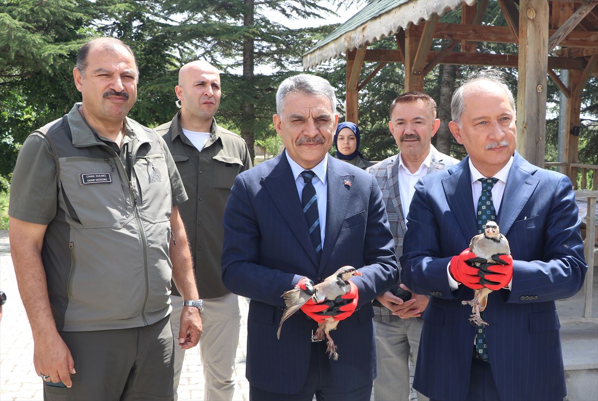 Keklik Üretim İstasyonu'nda İnceleme