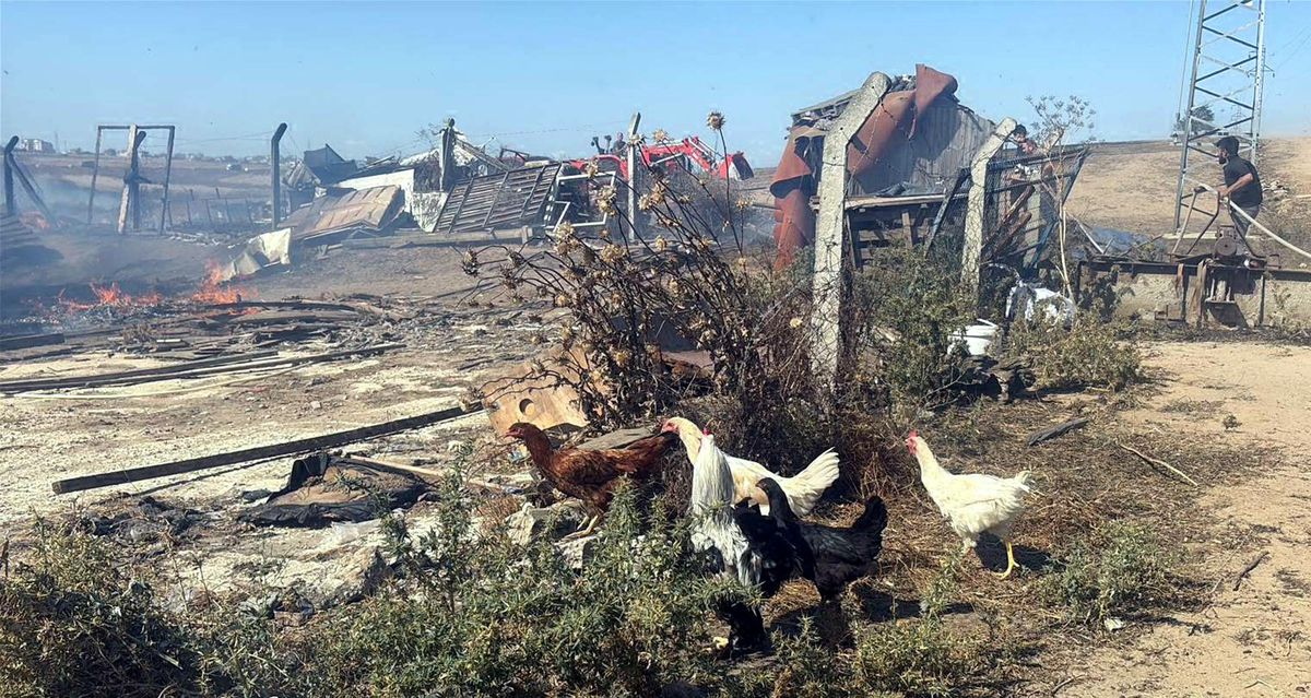 Ergene'de Anız Yangını: 4 Çiftlik Evi ve 5 Bin Saman Balyası Küle Döndü