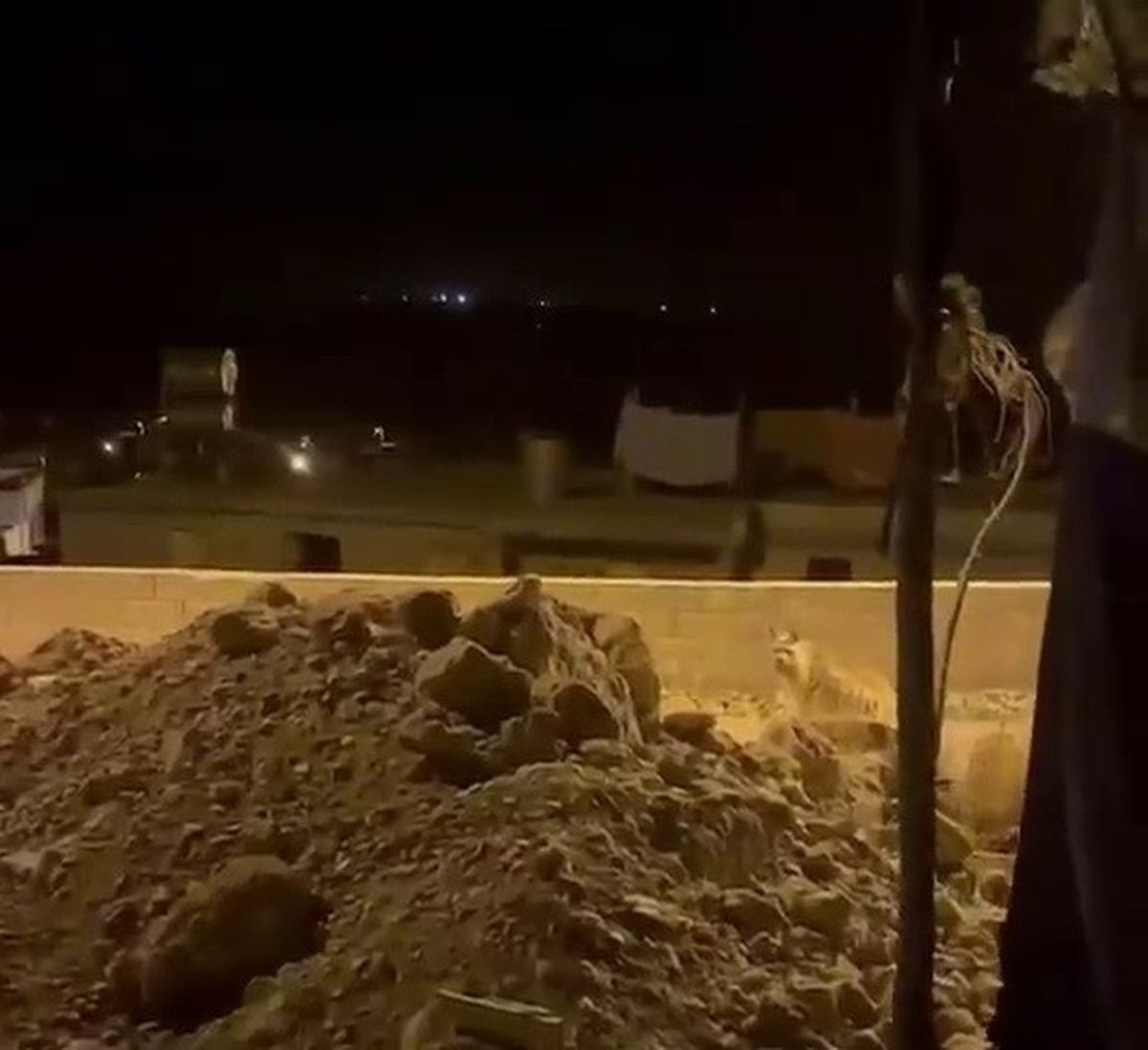 Adıyaman'da Köye İnen Çizgili Sırtlan Cep Telefonuyla Görüntülendi